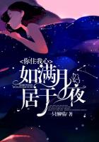你静静居住在我心里,如同满月居于夜空